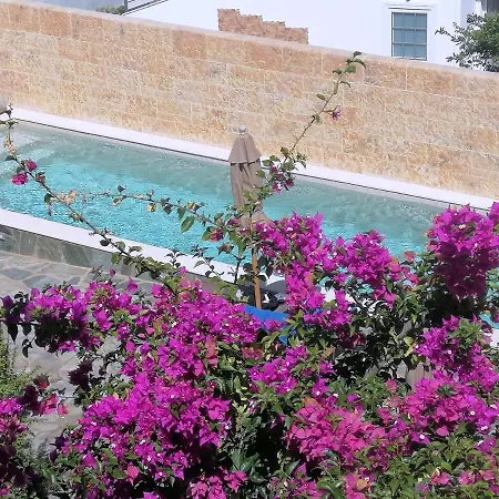 Christina Hotel, Adults Only, Heated Salt Water Pool