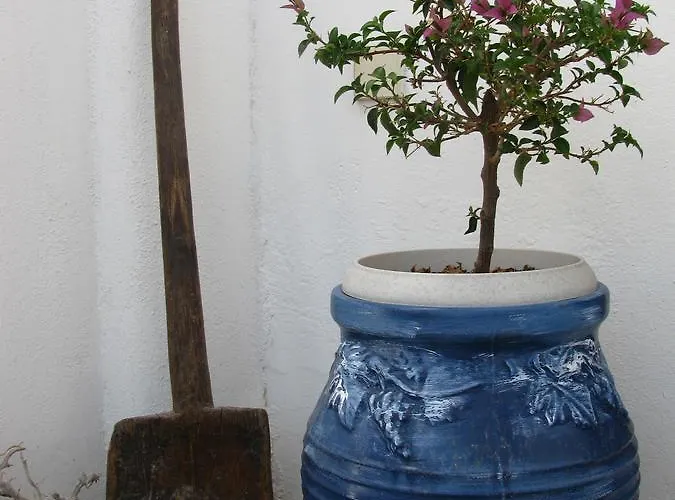 Christina Hotel, Adults Only, Heated Salt Water Pool 2* נאוסה