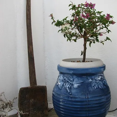 Christina 2* Naousa (Paros)